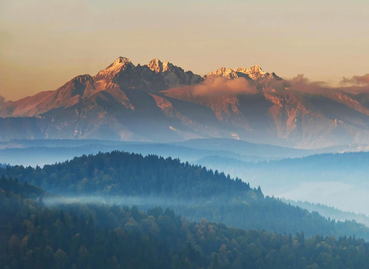 Sekrety Aby zdobyć certyfiakt ecovadis