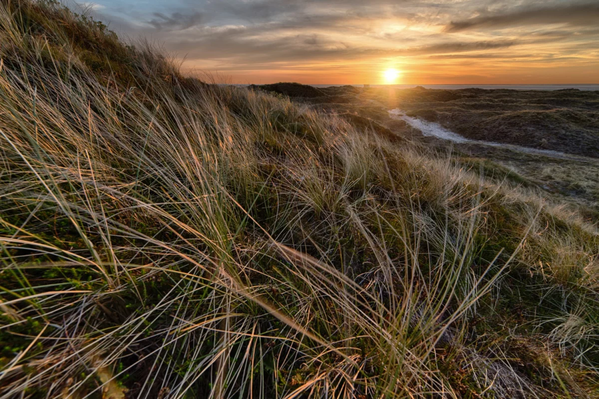 Zrób to wreszcie! Zacznij robić biznes już w 4 dni!